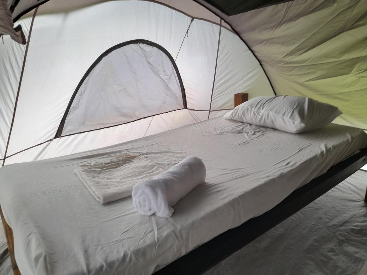 3 Rivers Eco Lodge Rosalie Екстер'єр фото