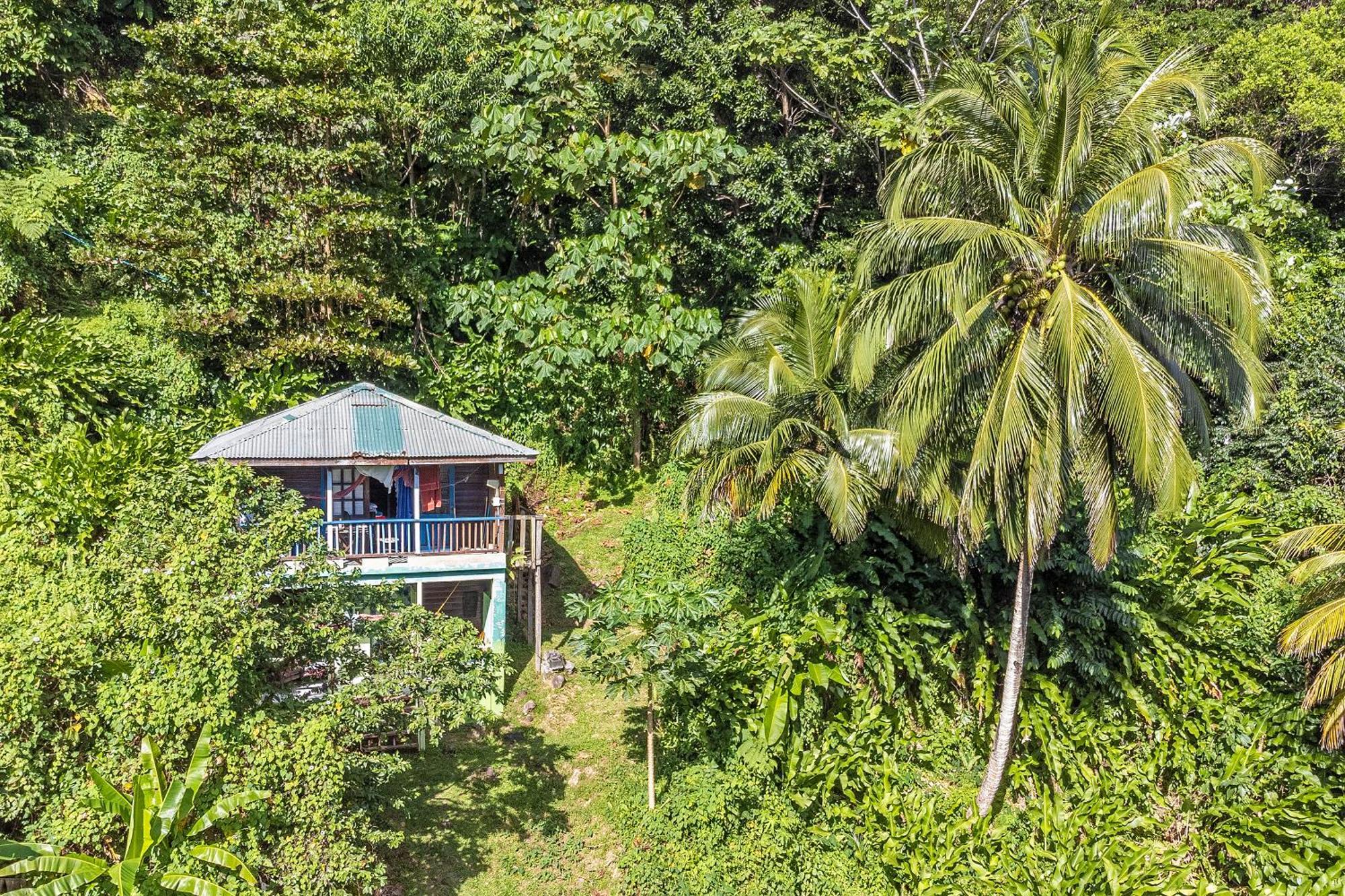 3 Rivers Eco Lodge Rosalie Екстер'єр фото