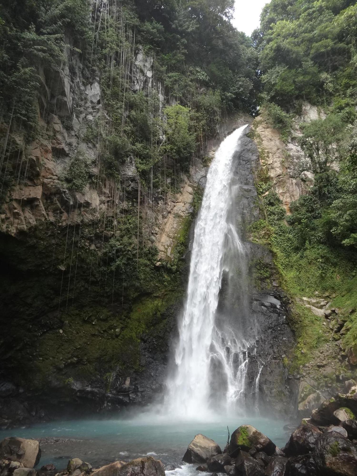 3 Rivers Eco Lodge Rosalie Екстер'єр фото