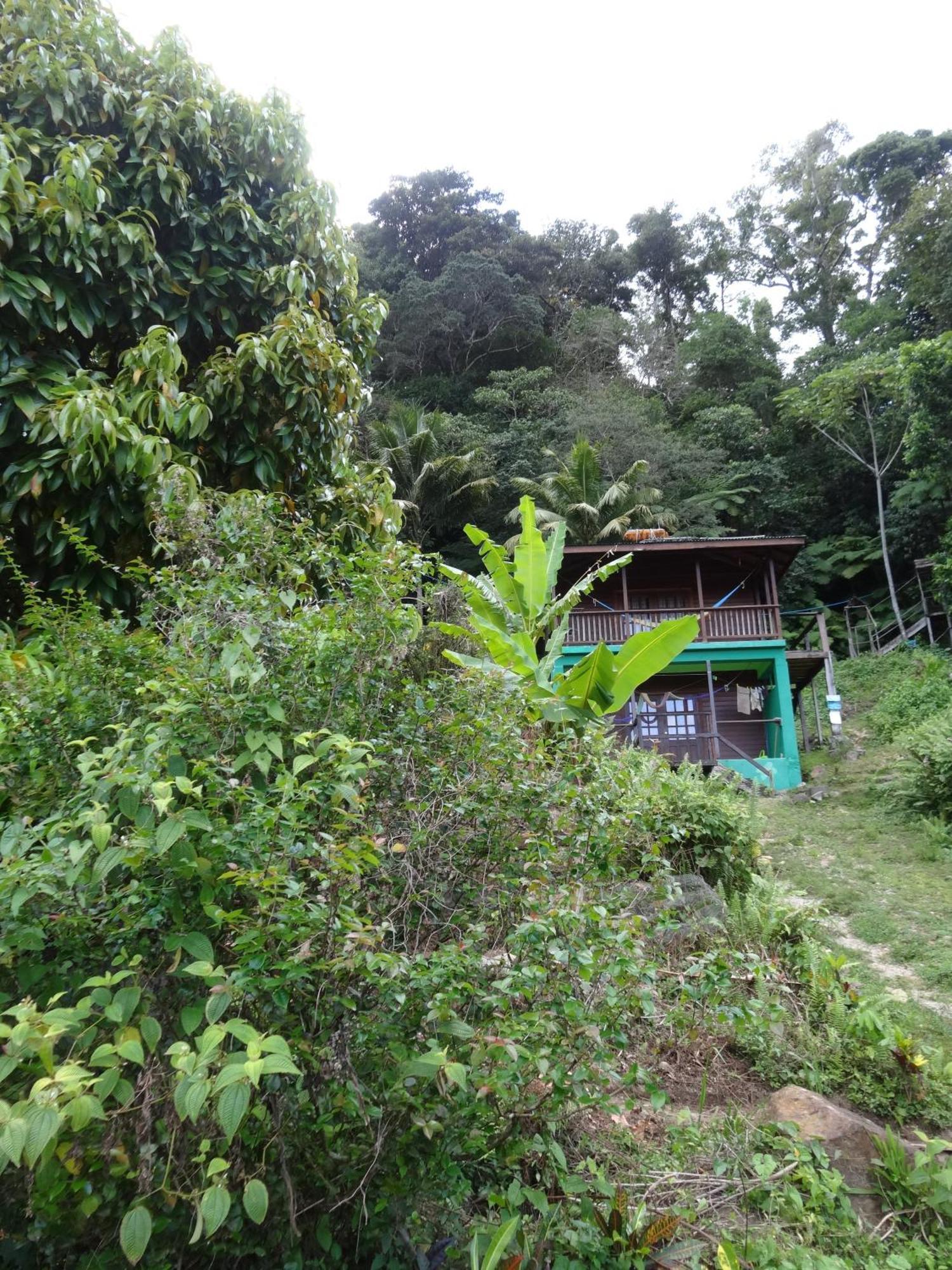 3 Rivers Eco Lodge Rosalie Екстер'єр фото